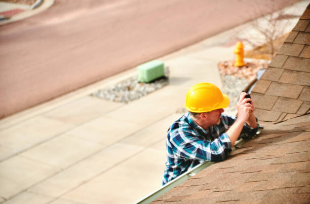 Best Roof Gutter Cleaning  in Hayneville, AL